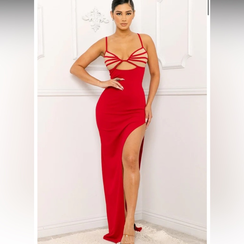 NWT Nude Stripes Red Dress